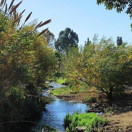Villa By The River Facing The Hermon In Dafna Εξωτερικό φωτογραφία