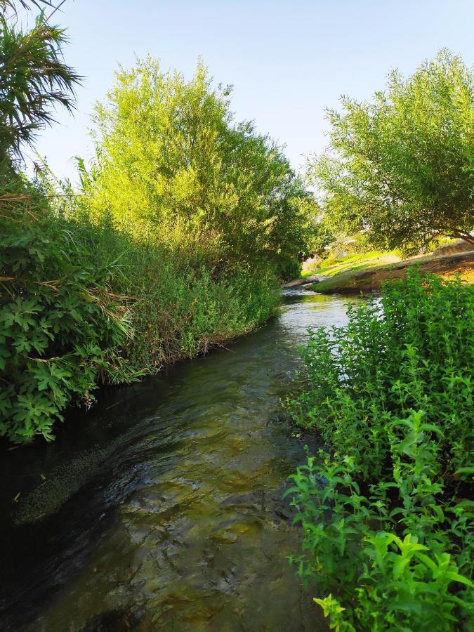 Villa By The River Facing The Hermon In Dafna Εξωτερικό φωτογραφία